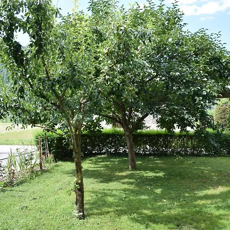 Apartma Albine Apartmán Tolmin